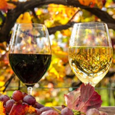 Herbstmarkt 2025