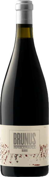 Brunus Tinto