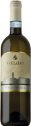 Pinot Grigio Macerato del Veneto IGP